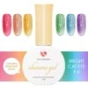 Charme Gel Bright Velvet Cat Eye Collection / 6 Colors