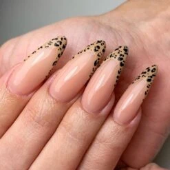 Charme Gel / 001 Perfect Black -Tammy Nails Store CGP001PB 5