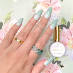 Charme Gel / Color Changing M04 Echeveria Elegans -Tammy Nails Store CGPM04EE 4