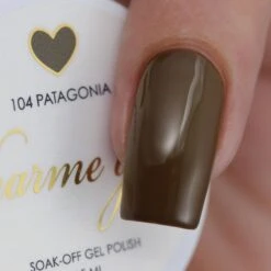 Charme Gel / 104 Patagonia -Tammy Nails Store IMG 0042 3