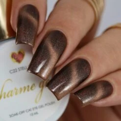 Charme Gel / Cat Eye C22 Stellar 9 Charme Gel / Cat Eye C22 Stellar -Tammy Nails Store Stellar 3