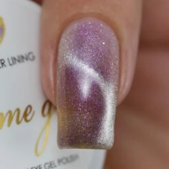 Charme Gel / Cat Eye C82 Silver Lining -Tammy Nails Store zzxxIMG 7017